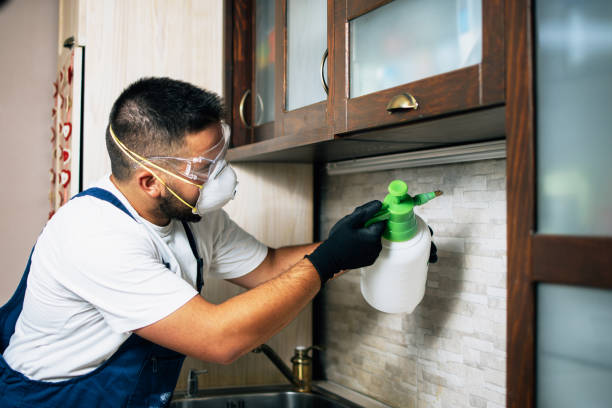 Best Termite Control Services  in Everett, PA