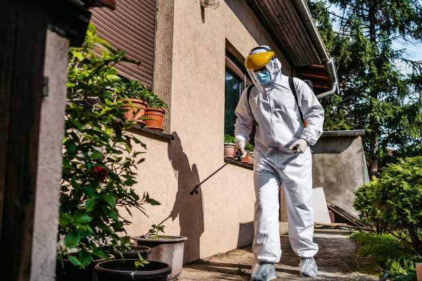 Best Commercial Pest Control Services  in Everett, PA