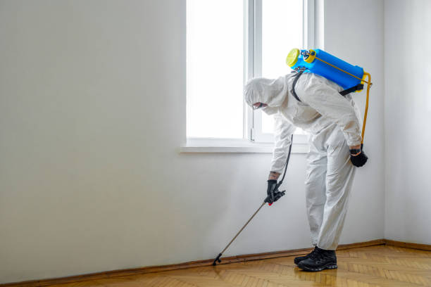 Best Pest Removal Services  in Everett, PA