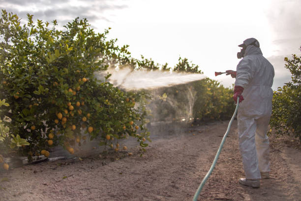 Best Pest Control Near Me  in Everett, PA