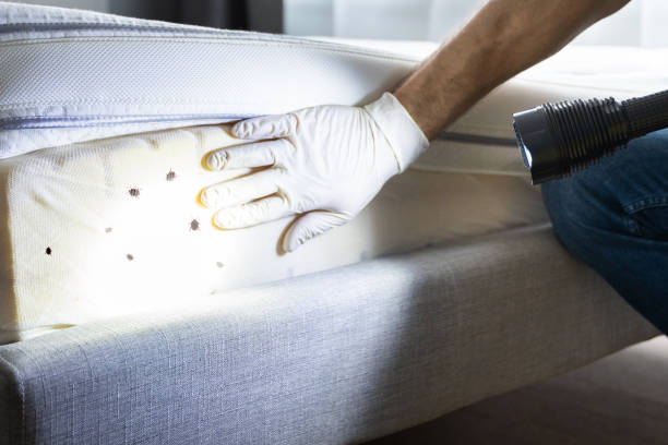 Everett, PA Pest Control Company