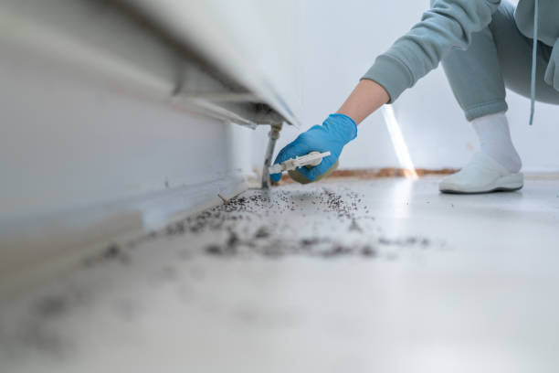Best Pest Control Near Me in Everett, PA