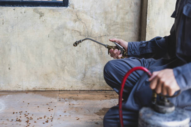 Best Pest Control Treatment  in Everett, PA